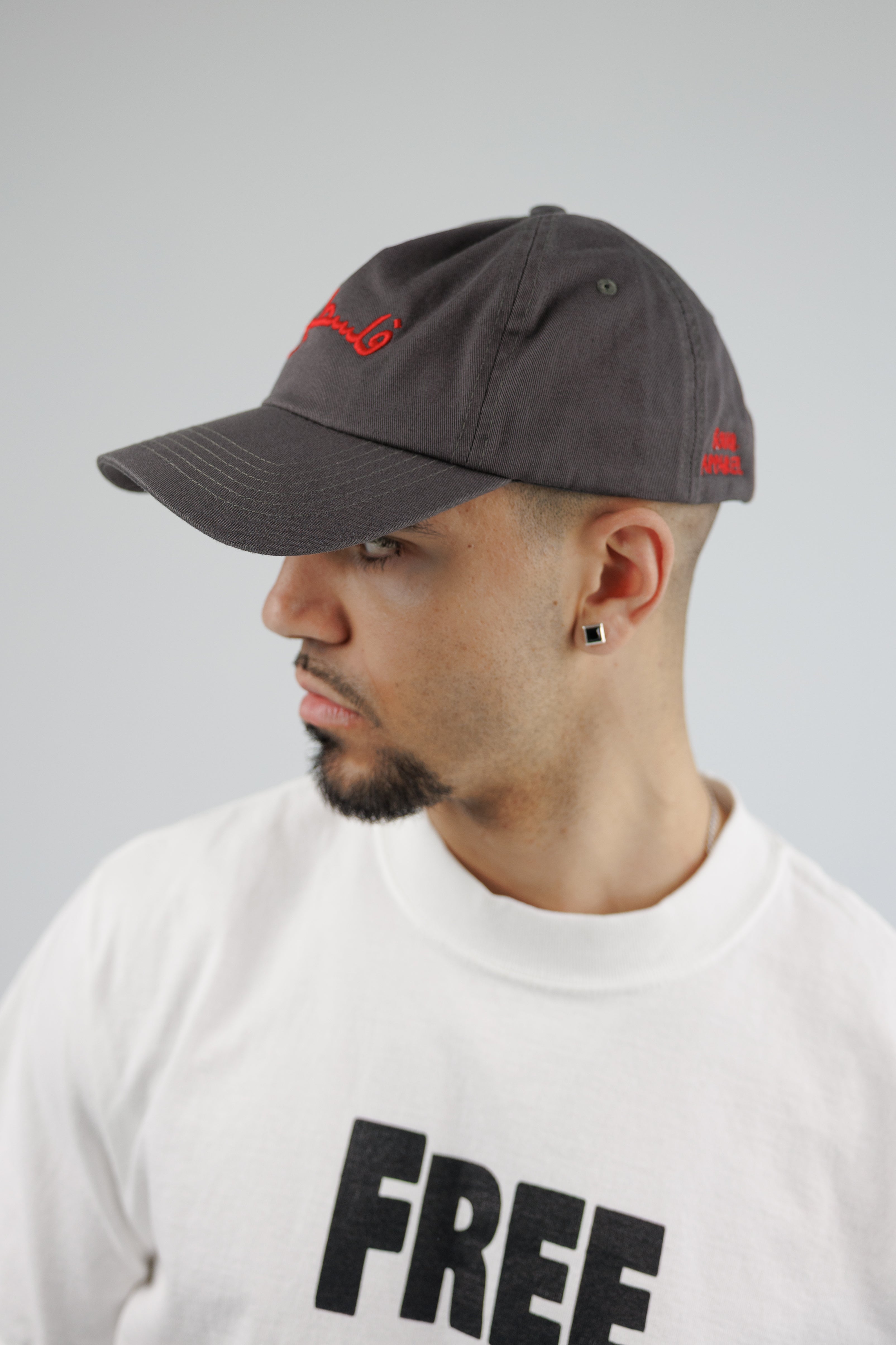 فلسطين Embroidered Dad Cap